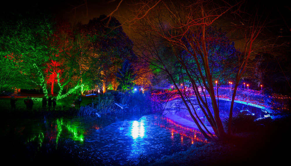 Enchanted-Woodland-2.jpg Enchanted-Woodland-2.jpg